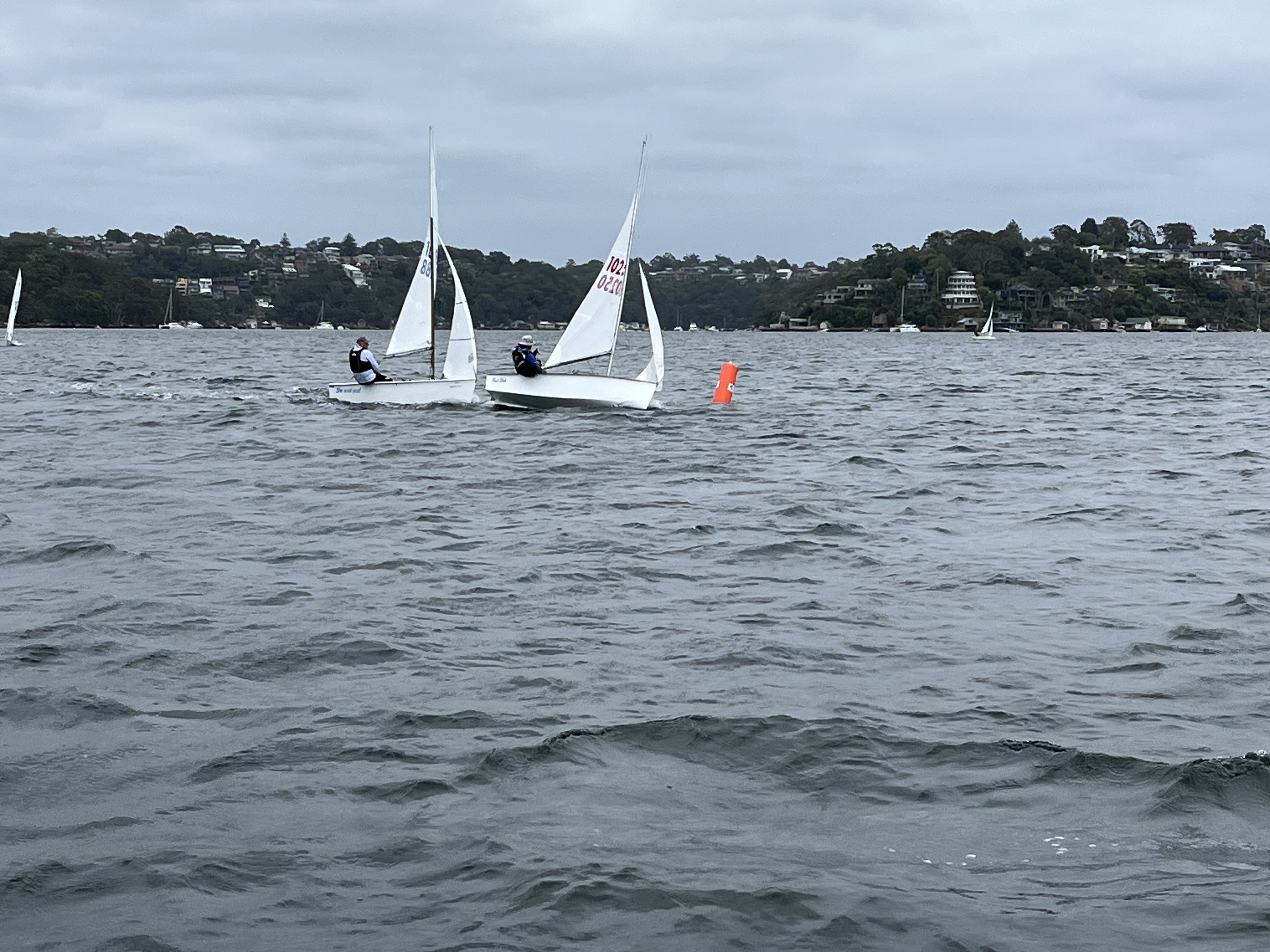 Heron racing