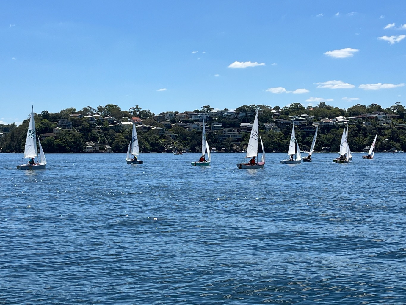 Sailing at PHOSC