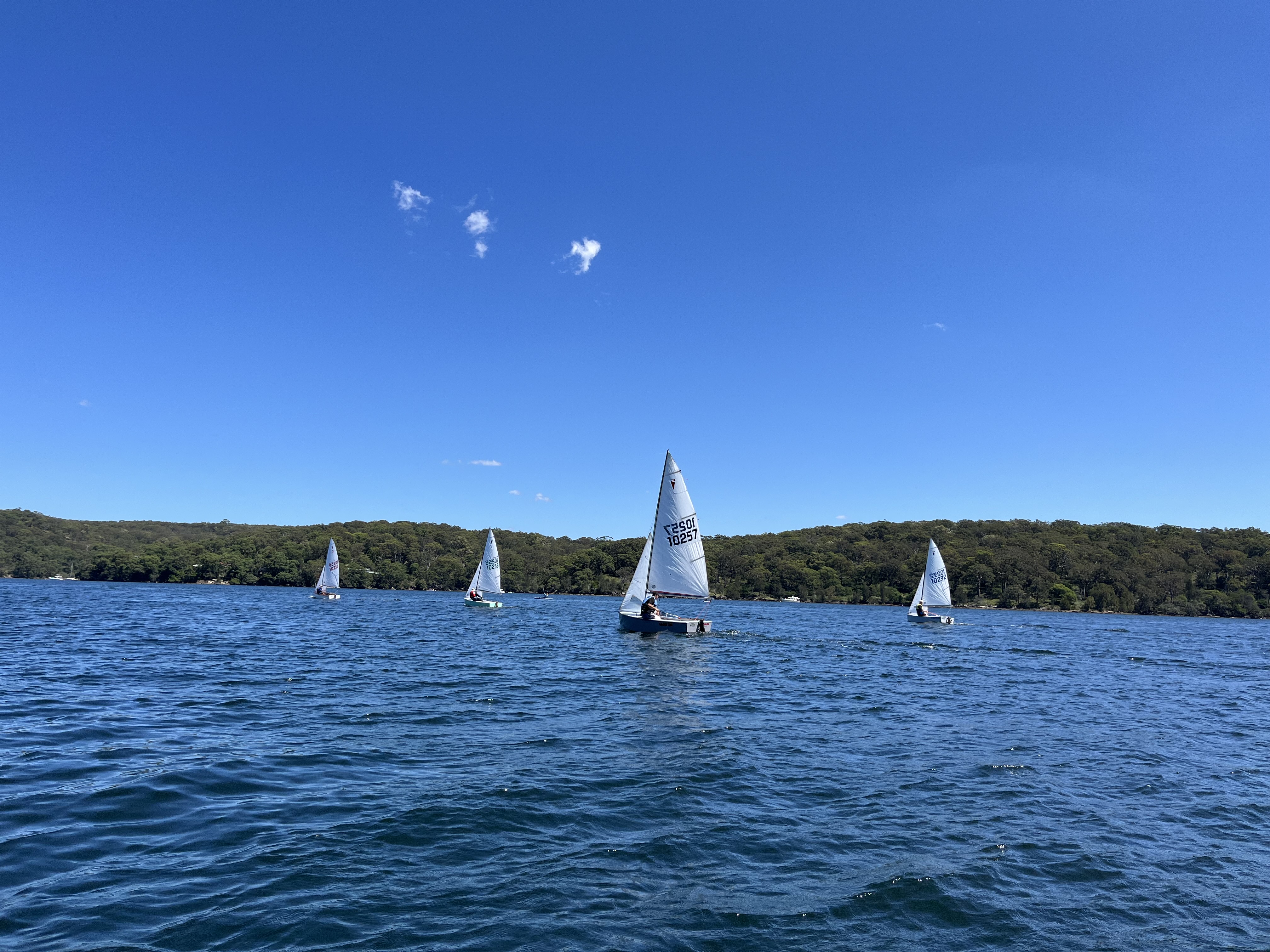 Heron racing
