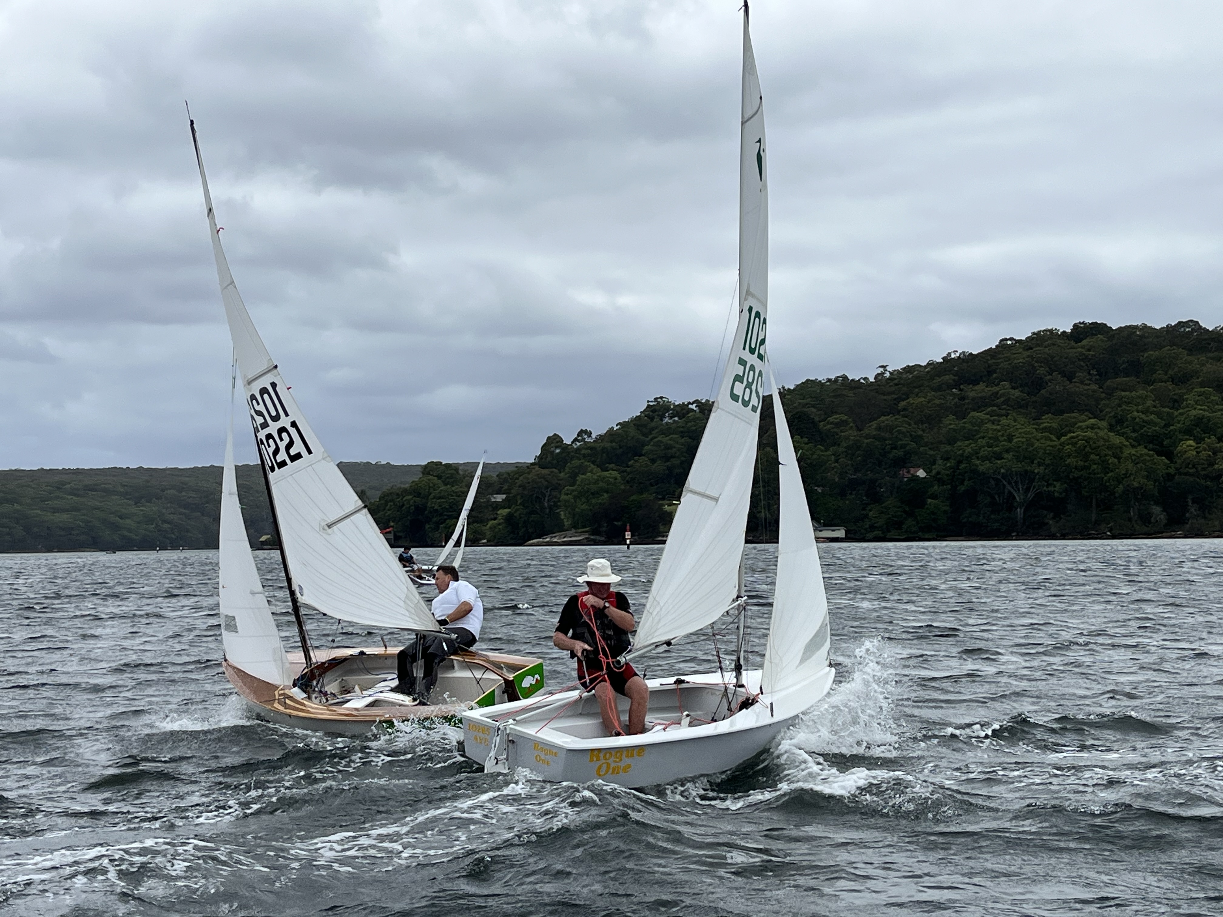 Heron racing