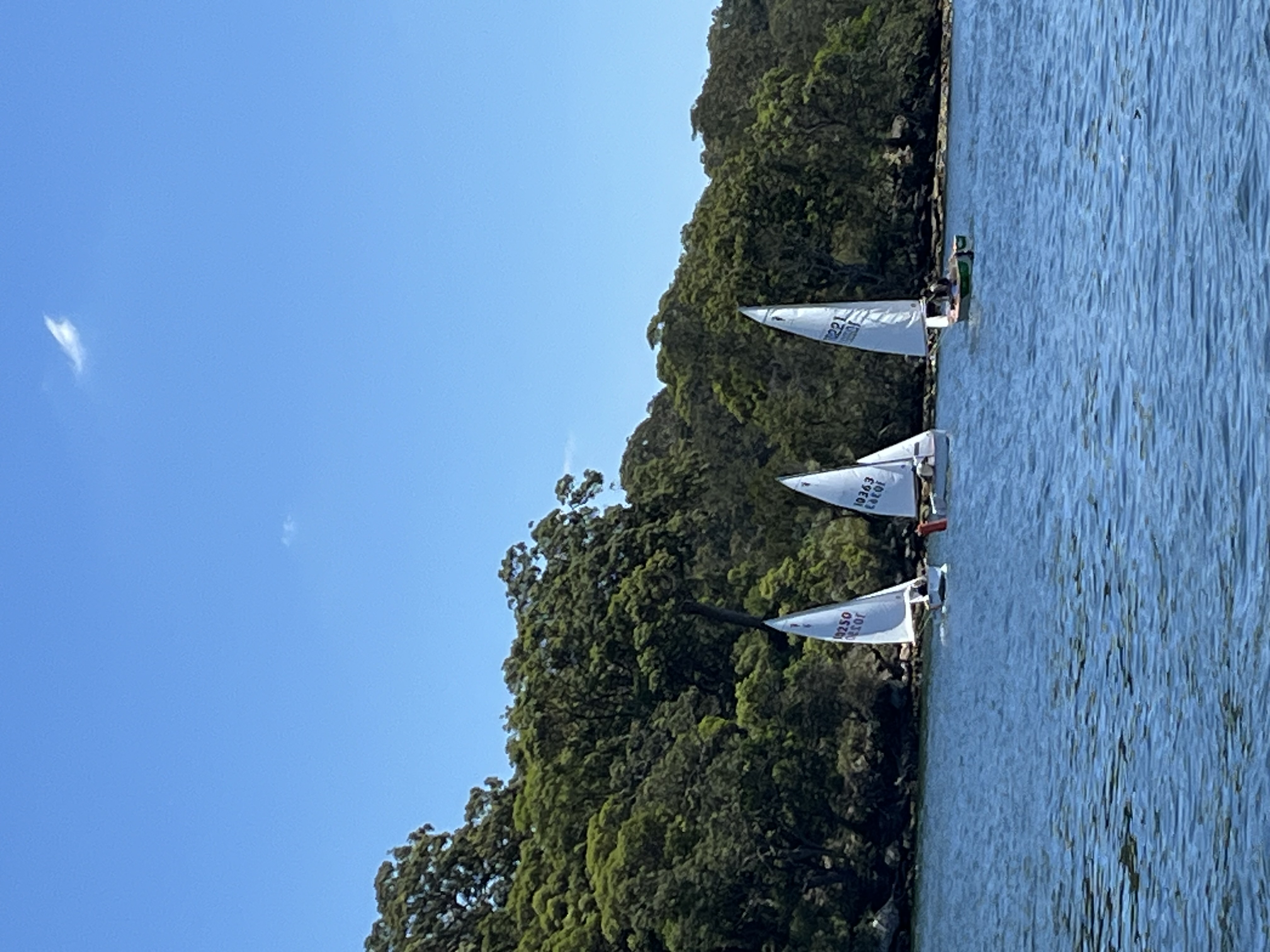 Heron racing